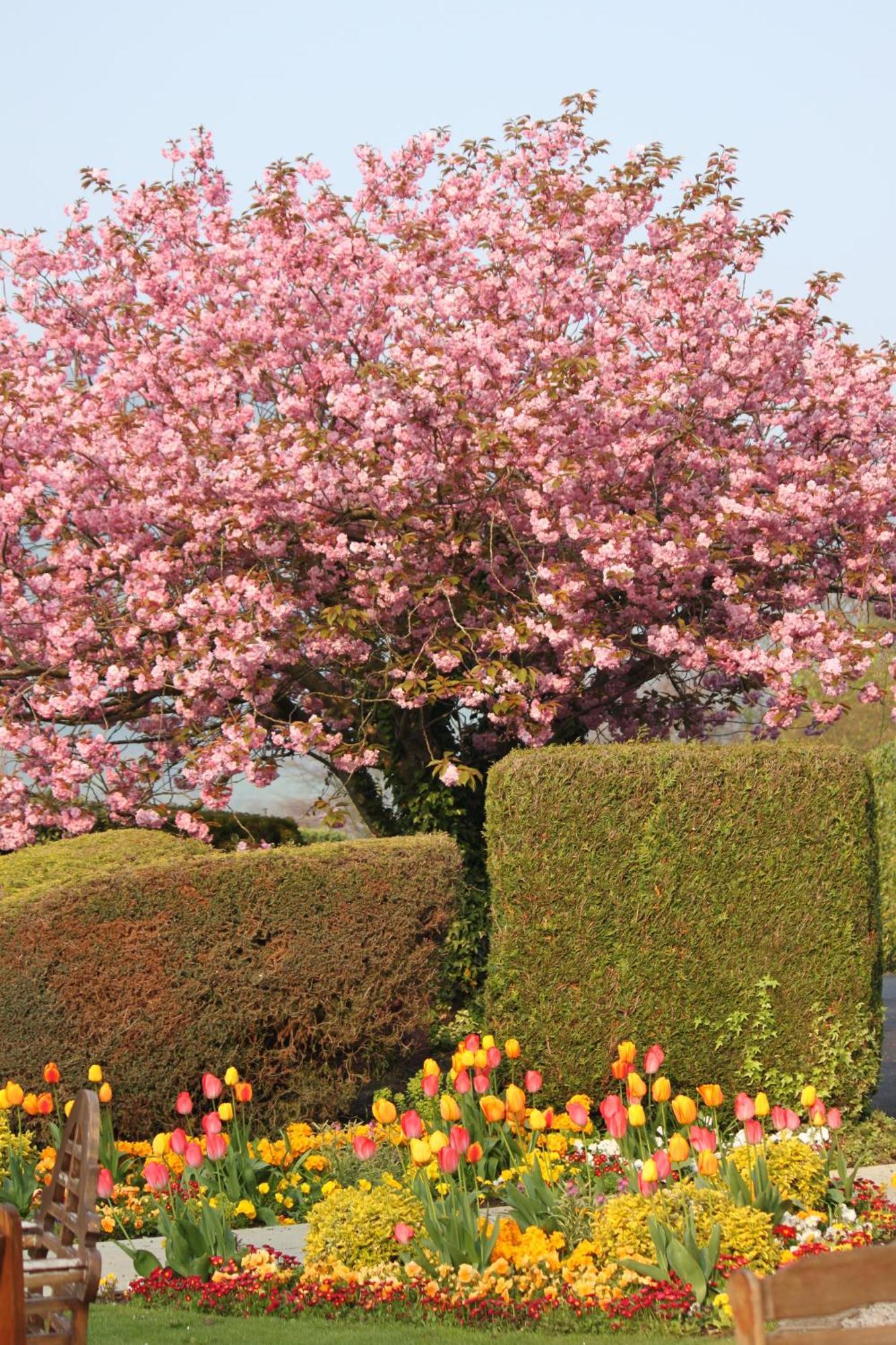 Lyzzick Hall Hotel Applethwaite ภายนอก รูปภาพ